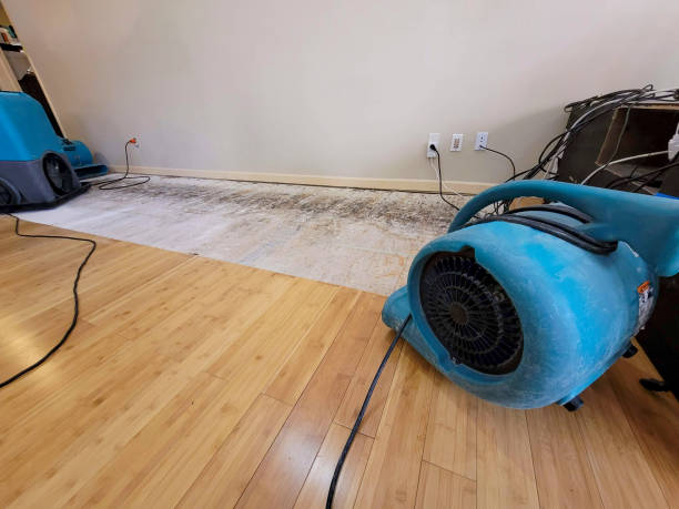 Professional Flood Damage Cleanup technician working in Bridgehampton, NY